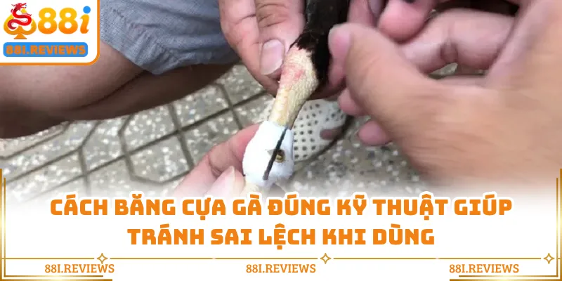 Cách Băng Cựa Gà Đúng Kỹ Thuật Giúp Tránh Sai Lệch Khi Dùng
