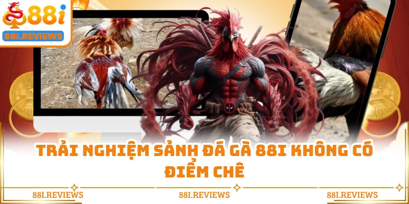 Trải nghiệm sảnh đá gà 88I không có điểm chê